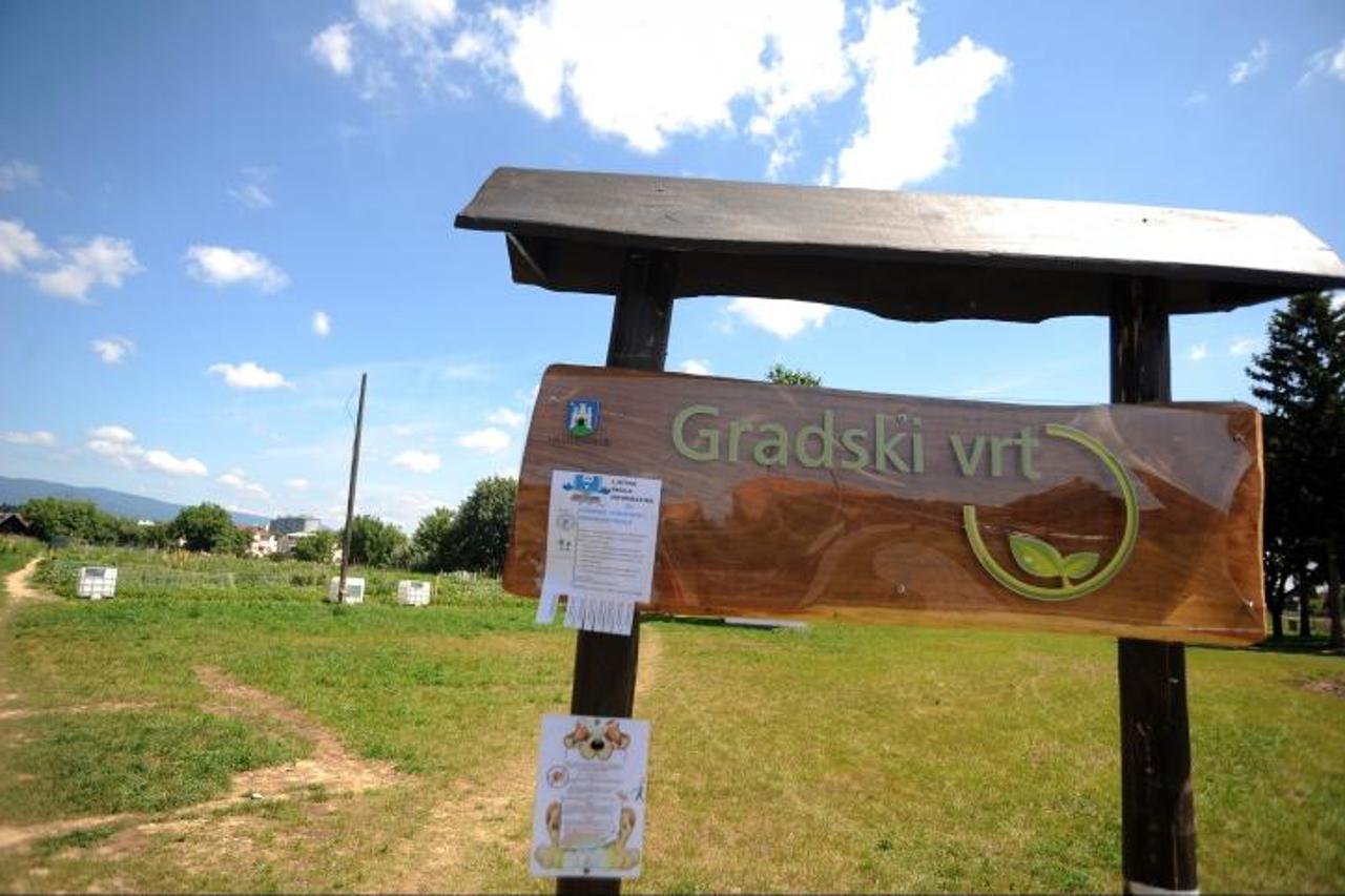 '05.07.2013., Zagreb - Gradski vrtovi za koje gradjani imaju dvogodisnje koncesije. Vrtovi u naselju Sv. Klara.  Photo: Daniel Kasap/PIXSELL'