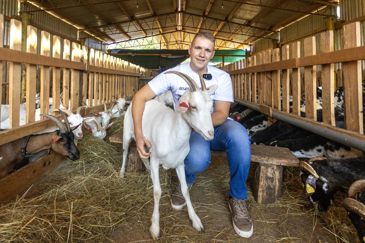 Pazin: Izbor za najbolji OPG - OPG Ivan Šolić