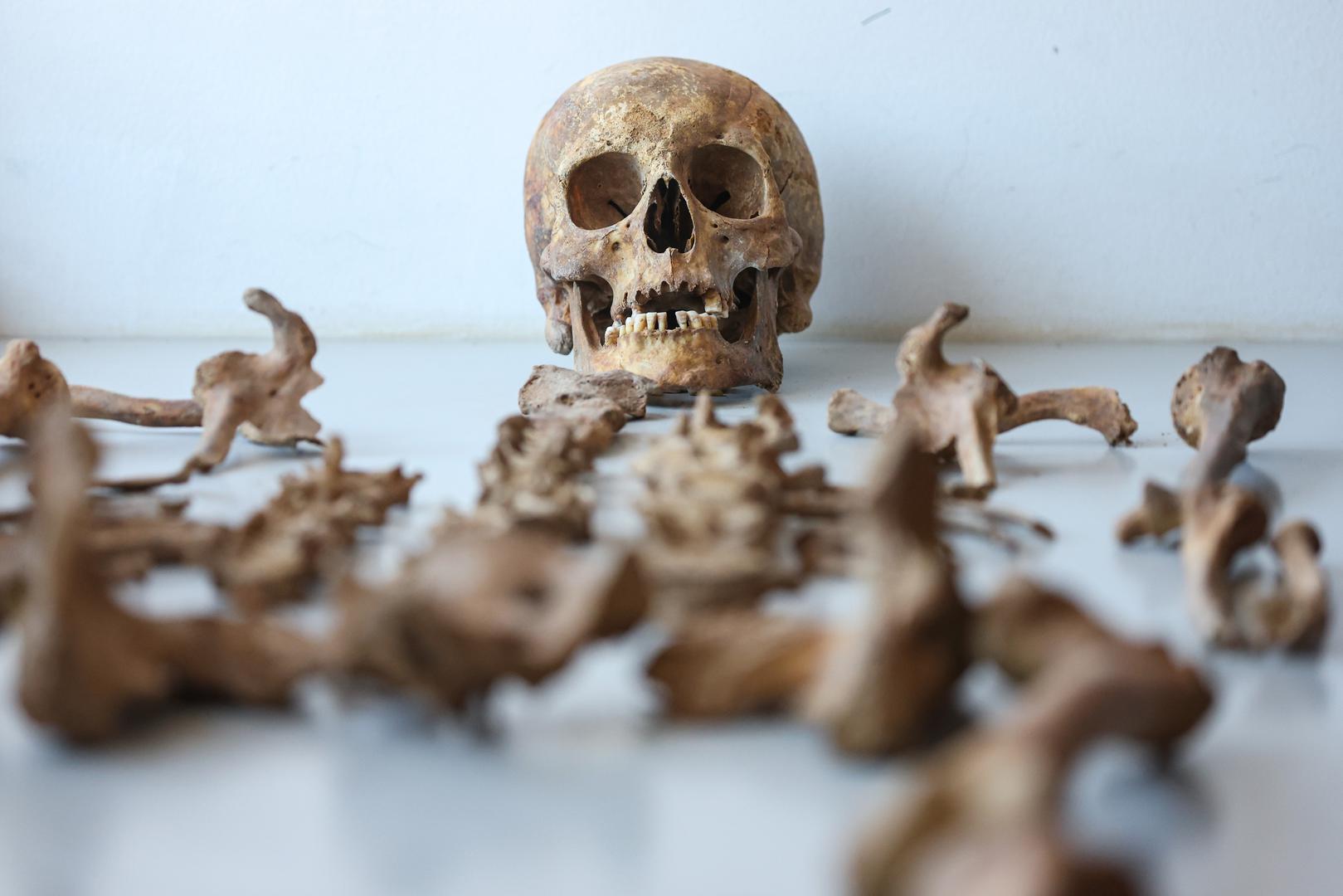 24.04.2026., Institut za antropologiju, Gajeva 32, Zagreb - Otvorenje obnovljenog Instituta za antropologiju.  Photo: Goran Stanzl/PIXSELL