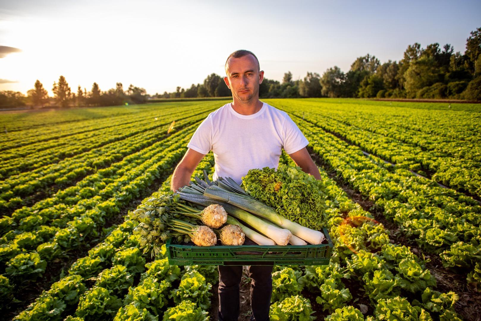 Poljoprivredni obrt Agrosan danas je jedan od najvećih proizvođača povrća u zemlji