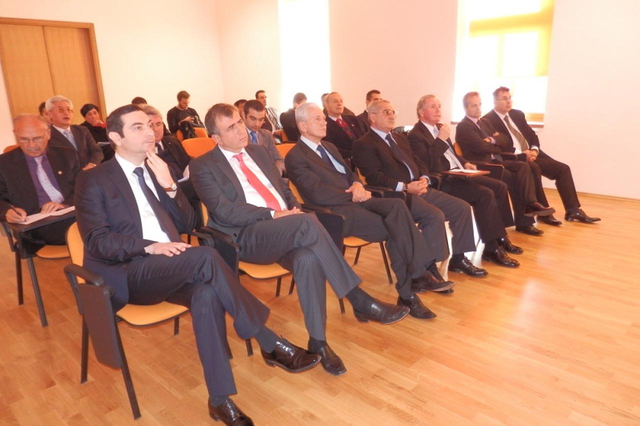 veleposlanici