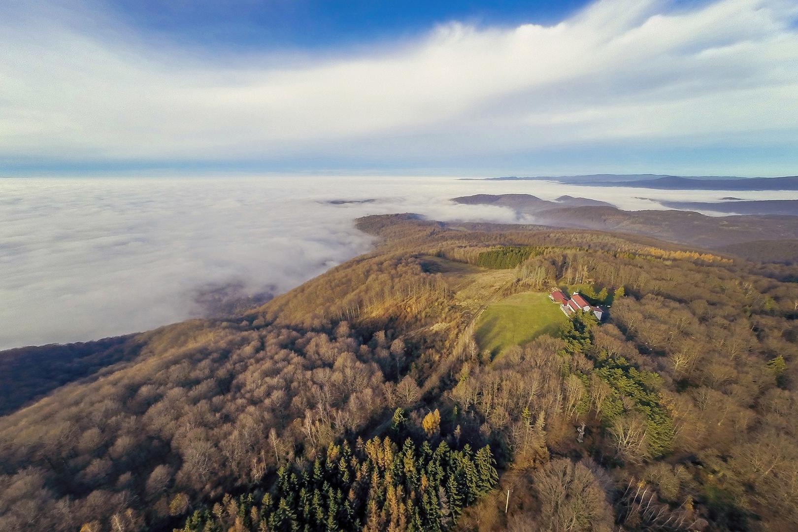 Plavetnila
Panonskoga
mora ovdje
odavno više
nema. Sada su
tu nepregledne
slavonske šume