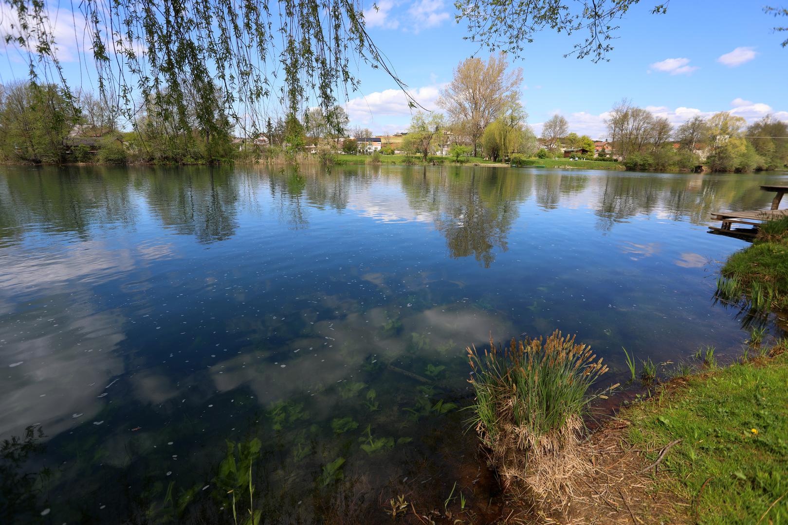5. Mikroorganizmi na koži - Naša koža prepuna je različitih količina i tipova bakterija, koje su privlačne komarcima. Prilaze nam zbog posebnog mirisa koji osjete, a komarcima su "slasniji" ljudi s više mikroorganizama na koži.