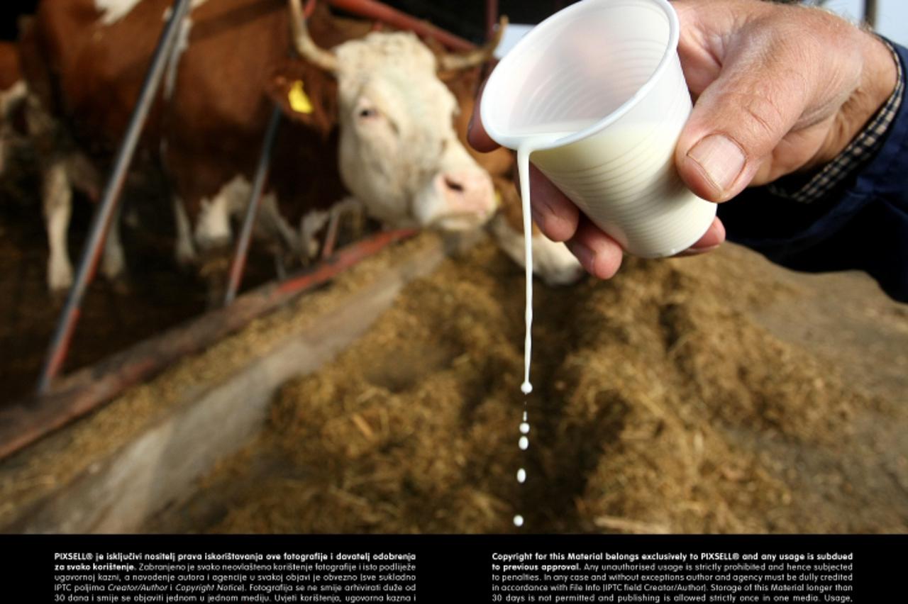 '22.10.2012., Djakovacki Selci - Mljekari u znak prosvjeda zbog cijena nece predavati mlijeko otkupljivacima nego ga besplatno dijele gradjanima.  Photo: Davor Javorovic/PIXSELL'