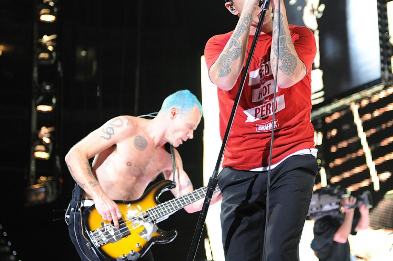 red hot chilli peppers (1)
