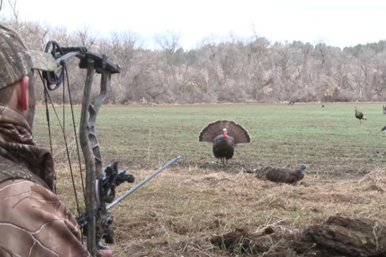 Bowhunting