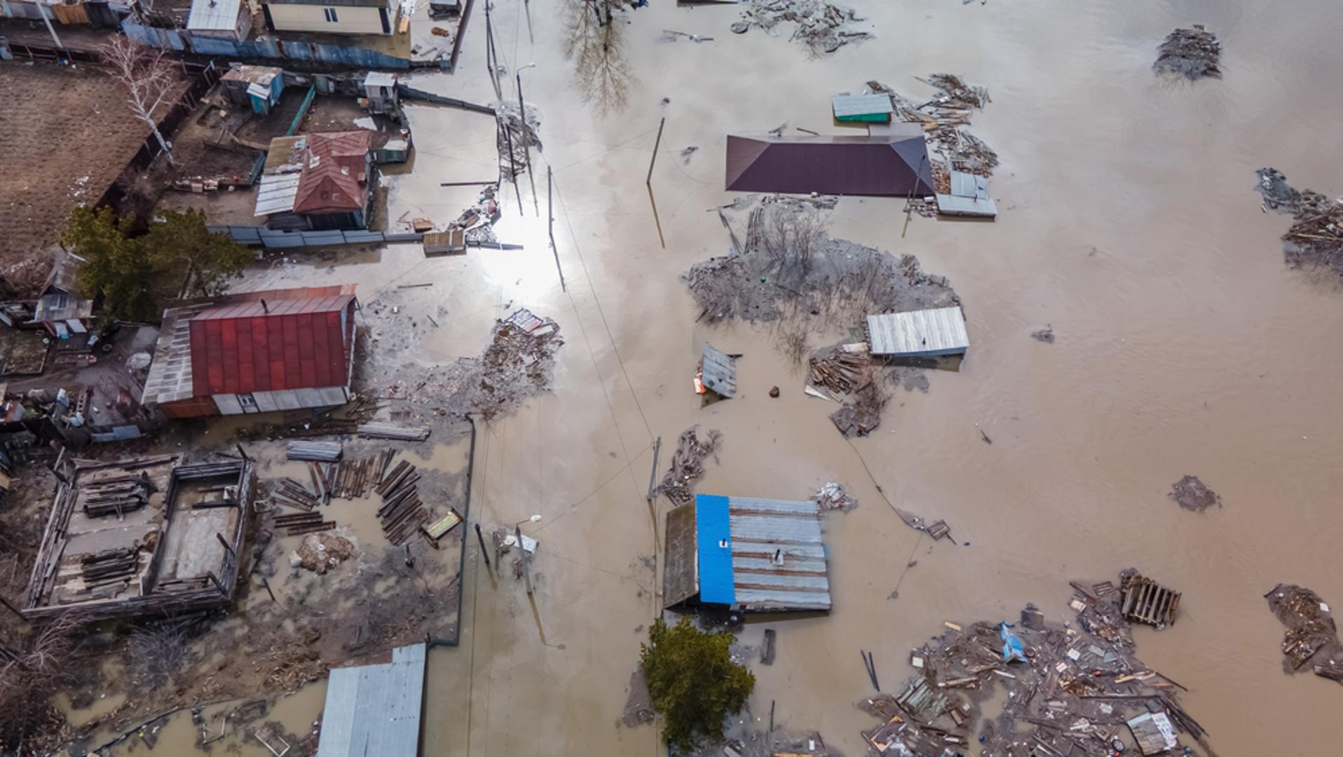 Ekološka katastrofa: Proročica koja je navodno predvidjela poplave u Velikoj Britaniji 2022. godine, također je predvidjela prirodne katastrofe za ovu godinu. Točne lokacije tornada, tsunamija ili potresa ostale su nejasne. Osim toga, predvidjela je katastrofalnu kombinaciju seizmičke aktivnosti i vulkanskih erupcija uz ekstremne vremenske uvjete koji će utjecati na osam posto površine planeta.