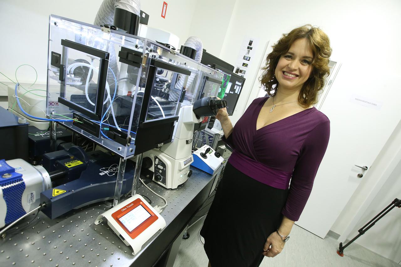 18.03.2016., Zagreb Institut Rudjer Boskovic, projektni tim Grupe Tolic svecano predstavio tri milijuna kuna vrijedan laserski pretrazni mikroskop. Promociji novog mikroskopa nazocili su   Dr. sc. Tome Anticic, ravnatelj Instituta Rudjer Boskovic, Prof. d