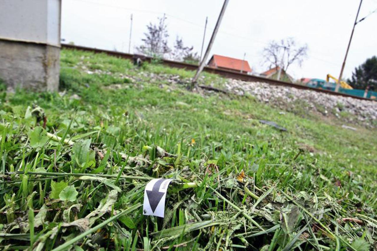 retkovec ubojstvo
