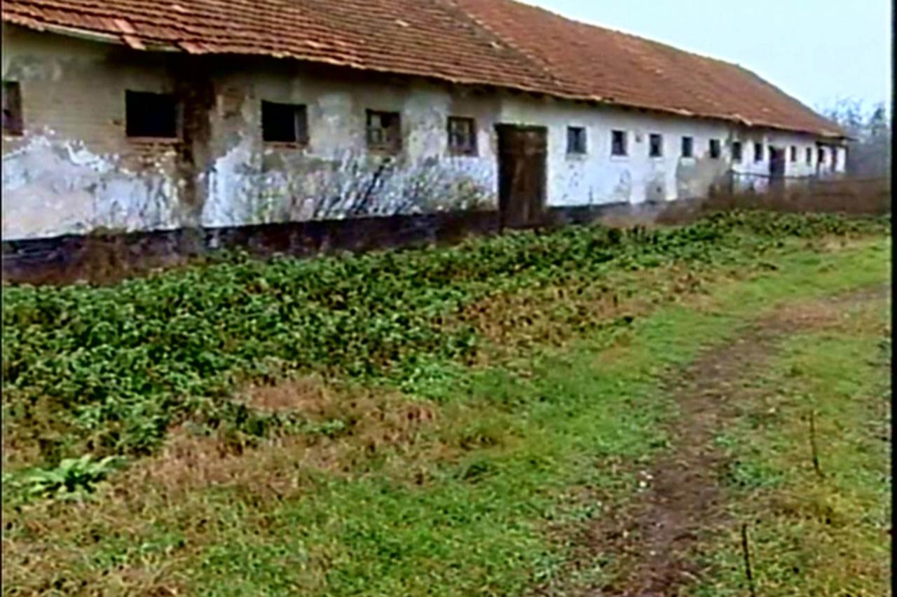 stajićevo
