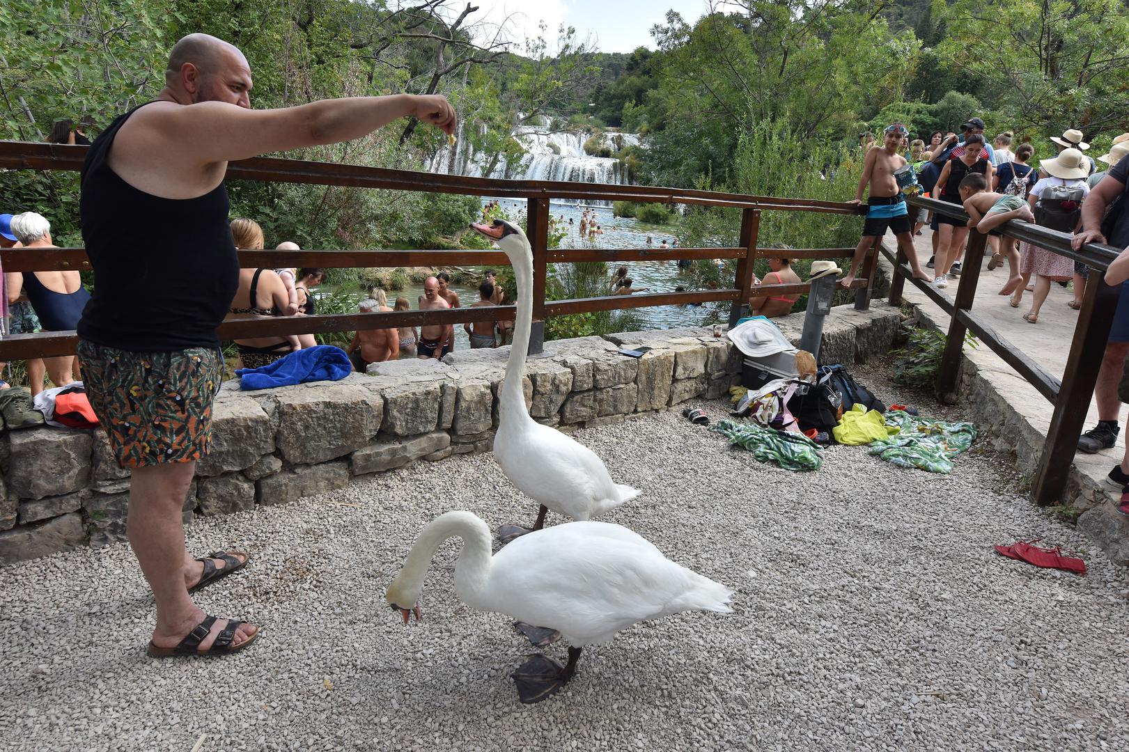 Ovih je dana vlada gužva u Nacionalnom parku Krka, a turisti su osvježenje potražili na Slapovima Krke.