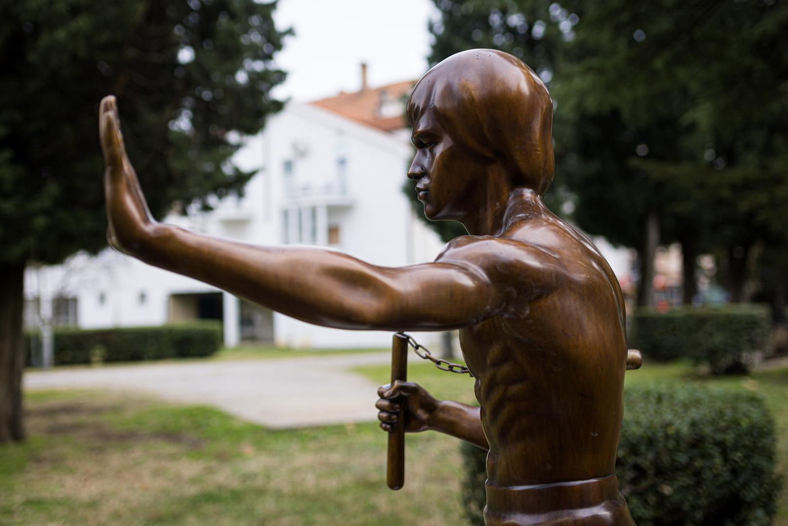 Kip Bruce Leeja postavljen je u park Zrinjevac 2005. godine na inicijativu mostarskog književnika Veselina Gatala i hrvatskog političara Nine Raspudića. 