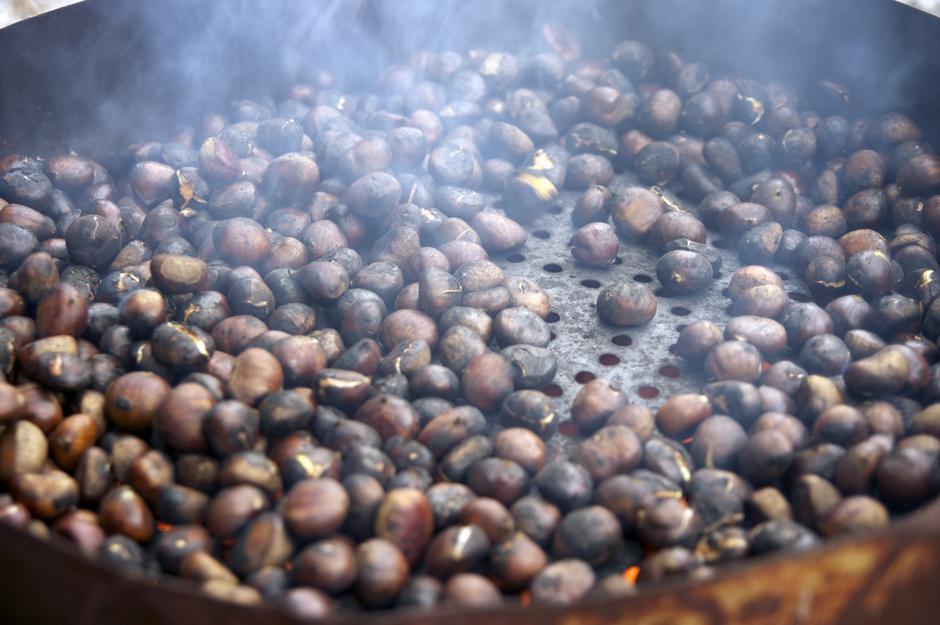 Festival kestena u Petrinji