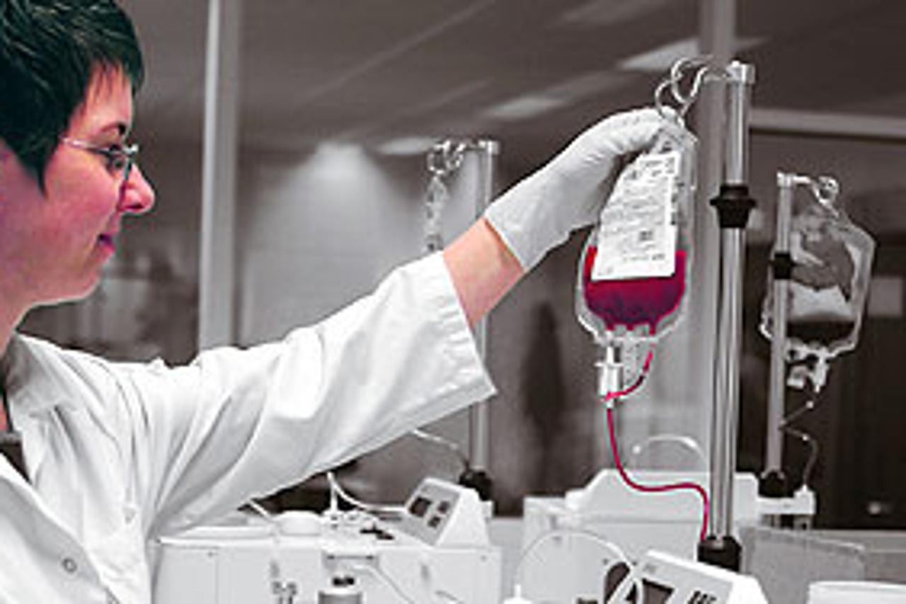 U središnjem laboratoriju CryoSavea matične stanice izoliraju se iz krvi i čuvaju na -196 C što će im desetljećima očuvati vitalnost