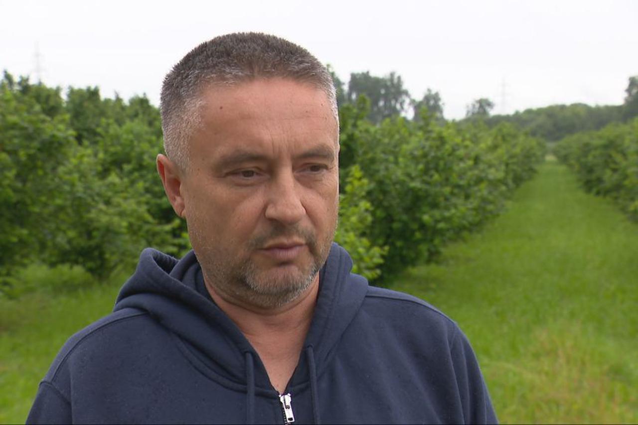 Damir Krznar, uzgajivač lješnjaka