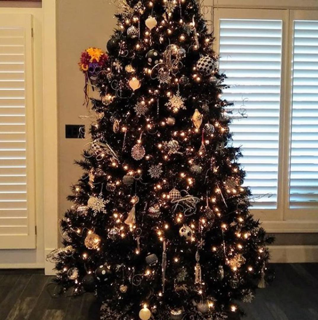 Upravo takvo drvce drugo je najpopularnije umjetno drvce u SAD-u, prema Treetopiji, i to najviše u Washingtonu, a zatim u Arizoni i Indiani. 