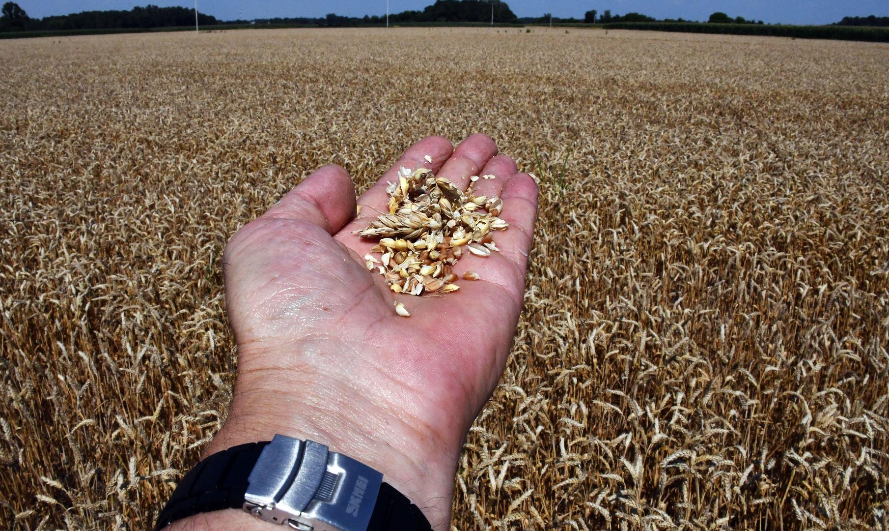 Kolovoz - Naziv "kolovoz" potječe od riječi "kolo", što znači kotač, i "voz", što se odnosi na promet ili kretanje. Dodatno, mjesec kolovoz bilo je vrijeme kada se žito obično kolovalo, odnosno vozilo, s polja do mjesta gdje se obrađivalo ili skladištilo. Stoga se naziv "kolovoz" može povezati s aktivnošću kolanja žita, koja je bila karakteristična za to doba godine.