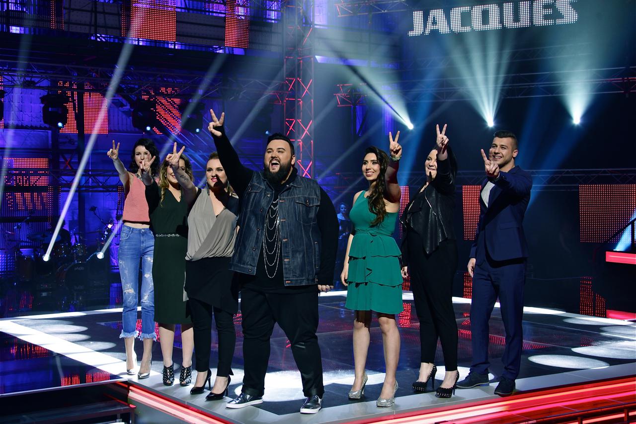 the voice