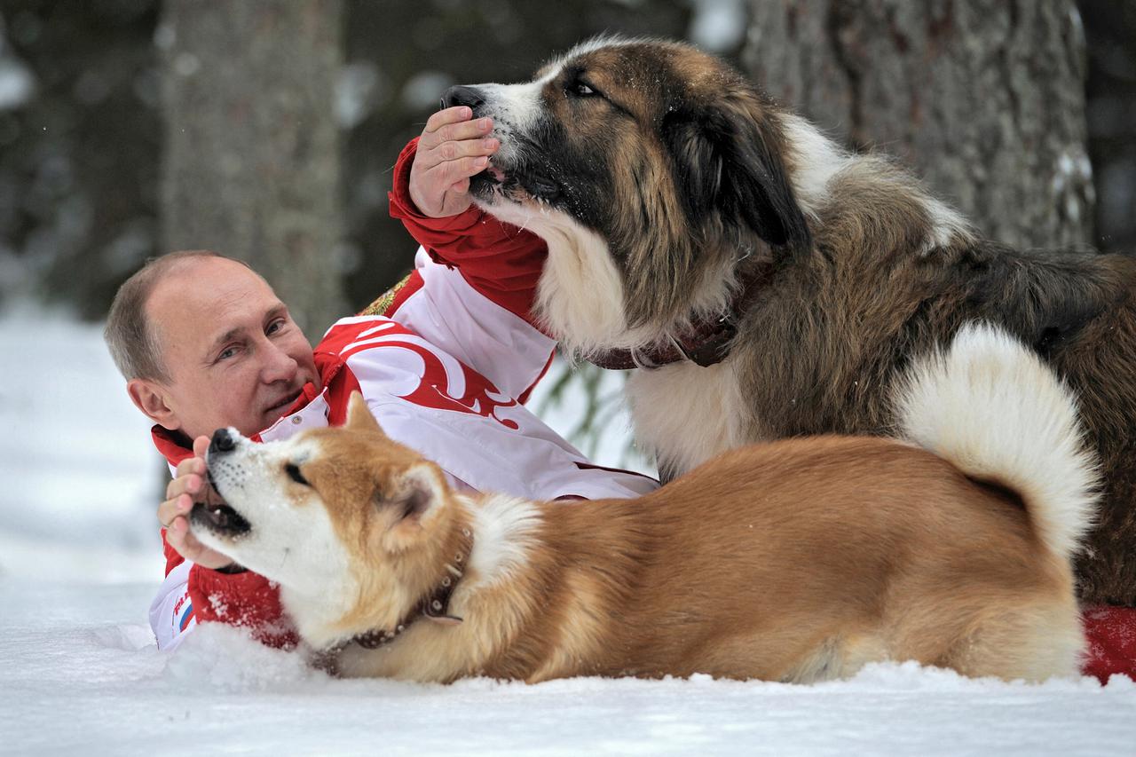 Vladimir Putin