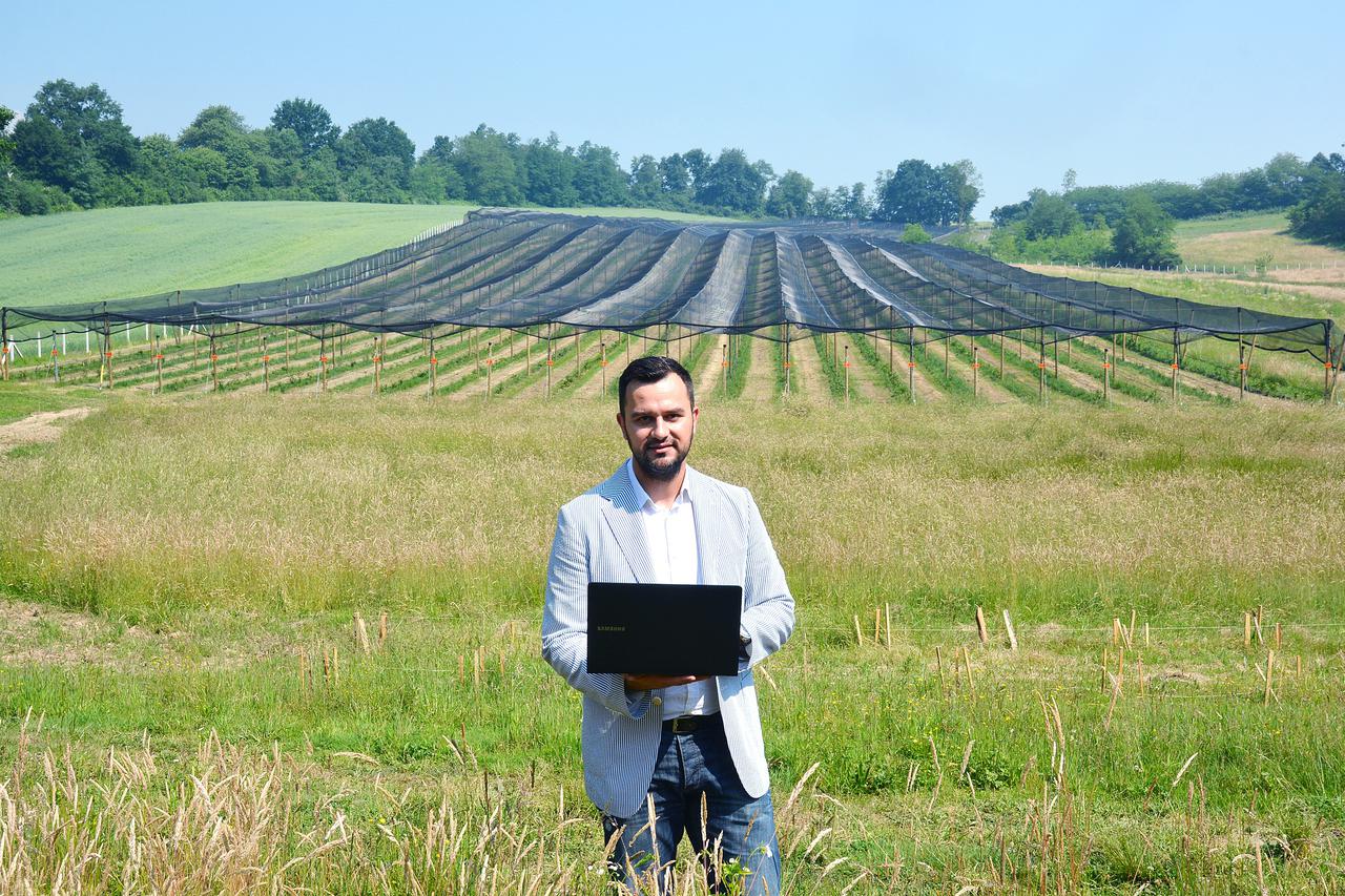 03.06.2015., Kutina - Matija Zulj osnivac je i direktor startup tvrtke Agrivi koja je najpoznatija po aplikaciji za upravljanje farmama. Matija Zulj obiteljskoj plantazi borovnica. Photo: Nikola Cutuk/PIXSELL