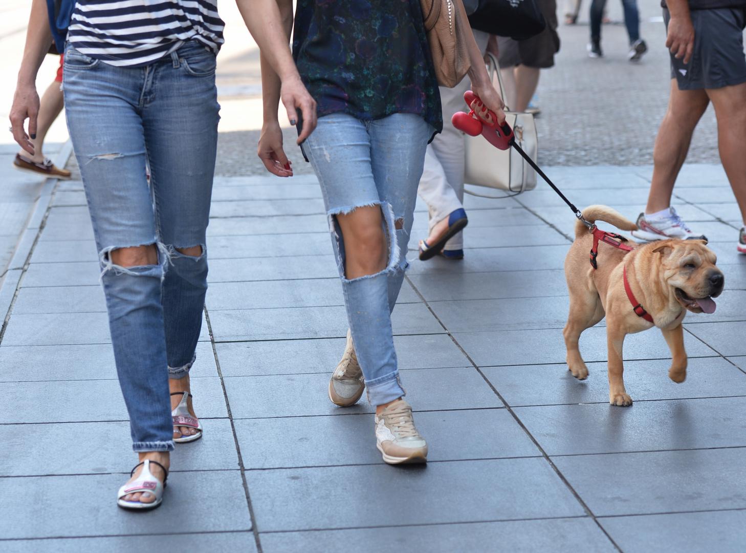 Traperice su klasični modni komad koji se može nositi s gotovo svakim outlookom. 