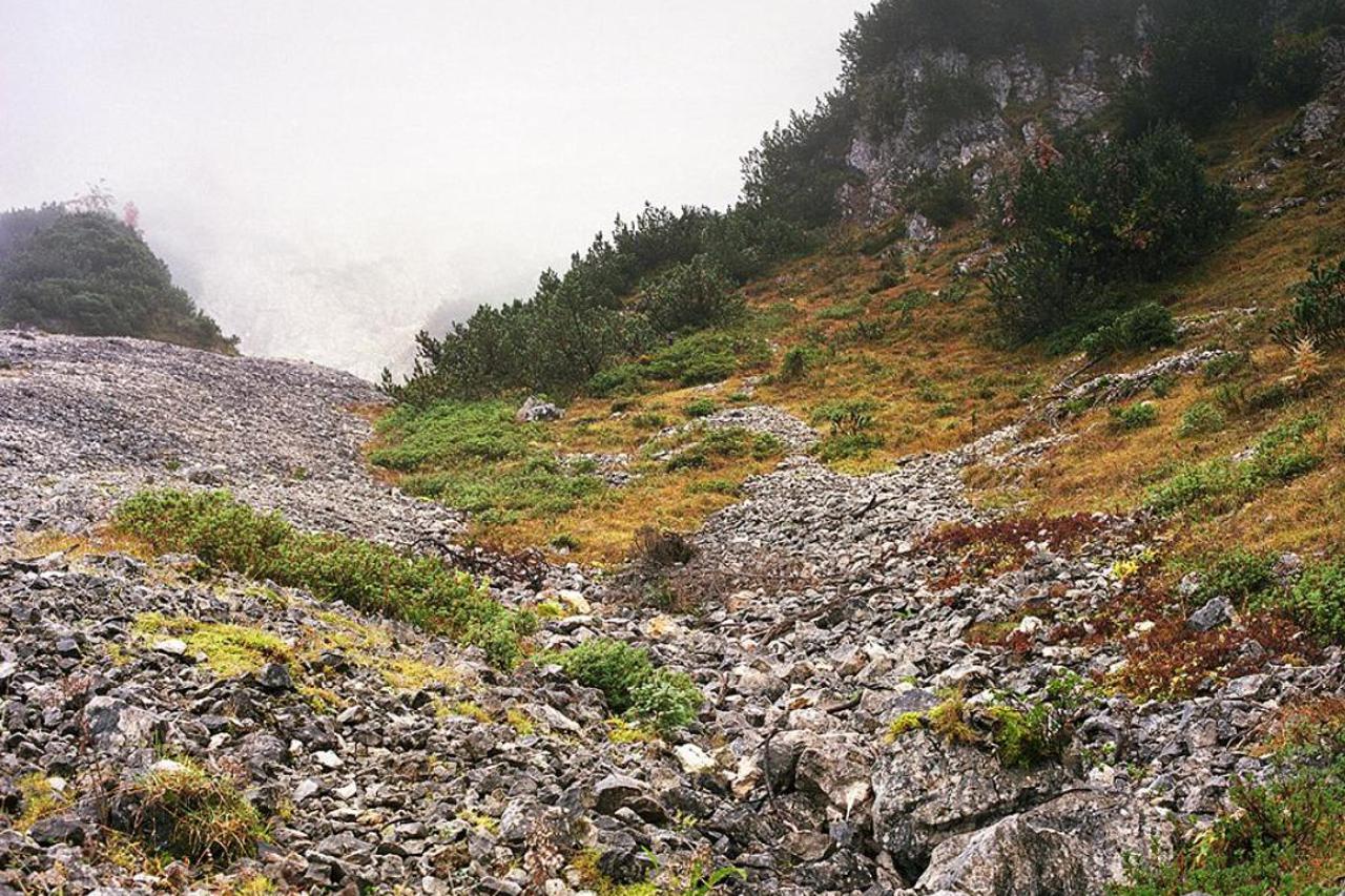 Kamuflaža snajperista