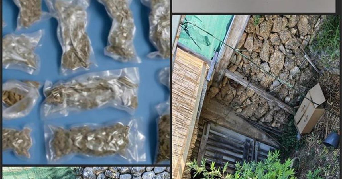 Kod 60-godišnjaka našli drogu i oružje, 30-godišnjak uhićen kod nasada marihuane, a 40-godišnjak kokain vagao na suhozidu kuće