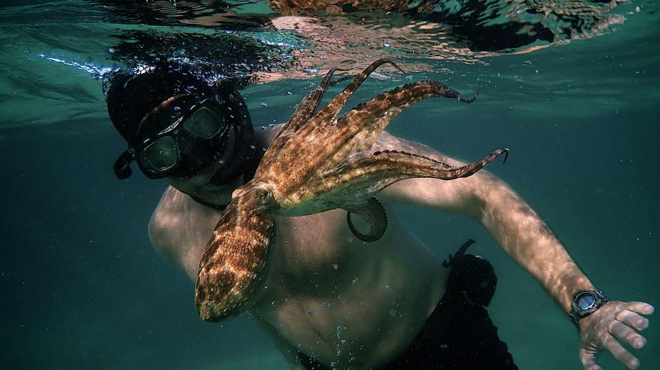 Najbolji dugometražni dokumentarac "My Octopus Teacher"