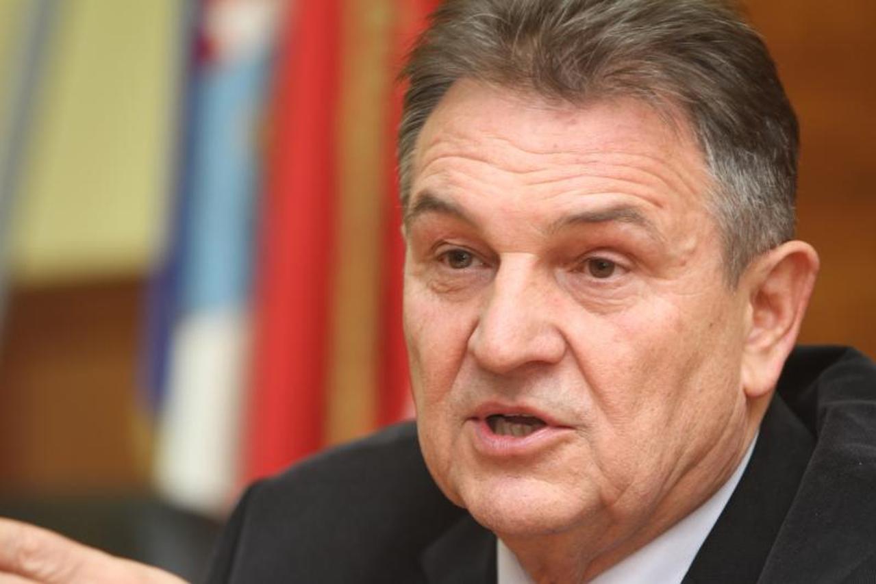 Radimir Čačić,Karlovac,reformisti