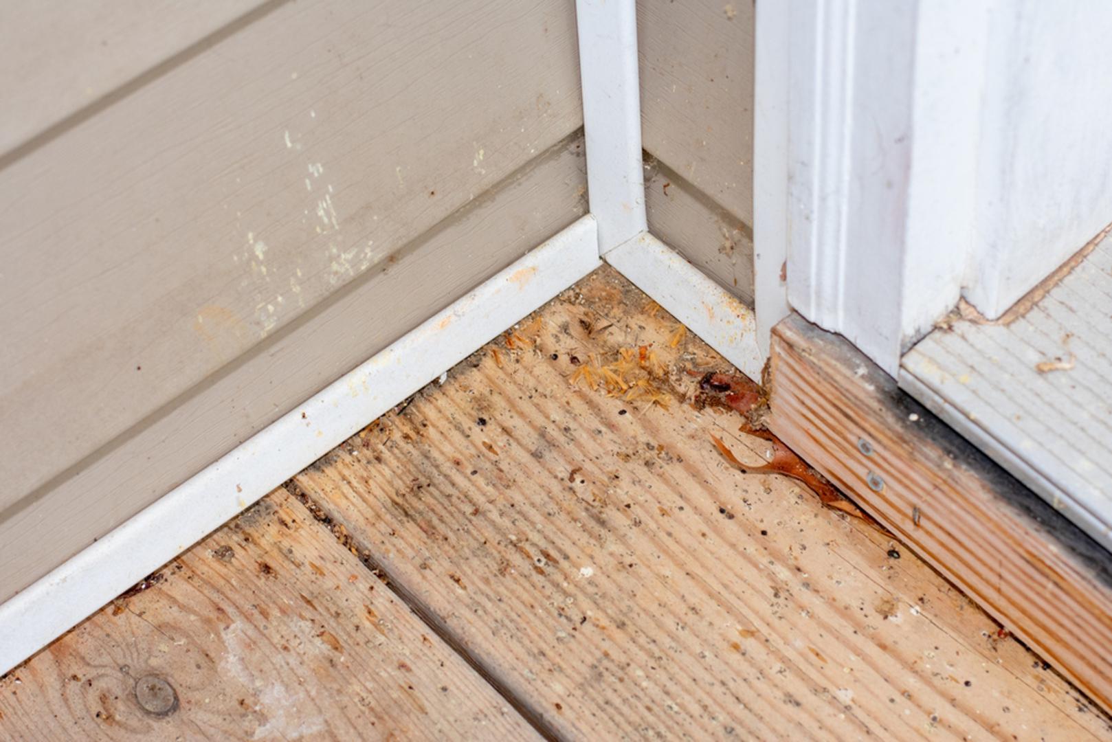 Kutovi i lajsne s prašinom ili prljavštinom: Tragovi usisavanja na tepisima mogu ostaviti dojam čistih podova, ali prljavština uz lajsne, u kutovima ili ispod namještaja otkriva površinsko čišćenje. U domovima s pločicama ili drvenim podovima, ljepljiva mjesta ili prljavština u fugama također sugeriraju na potrebu za temeljnijim pristupom čišćenju.