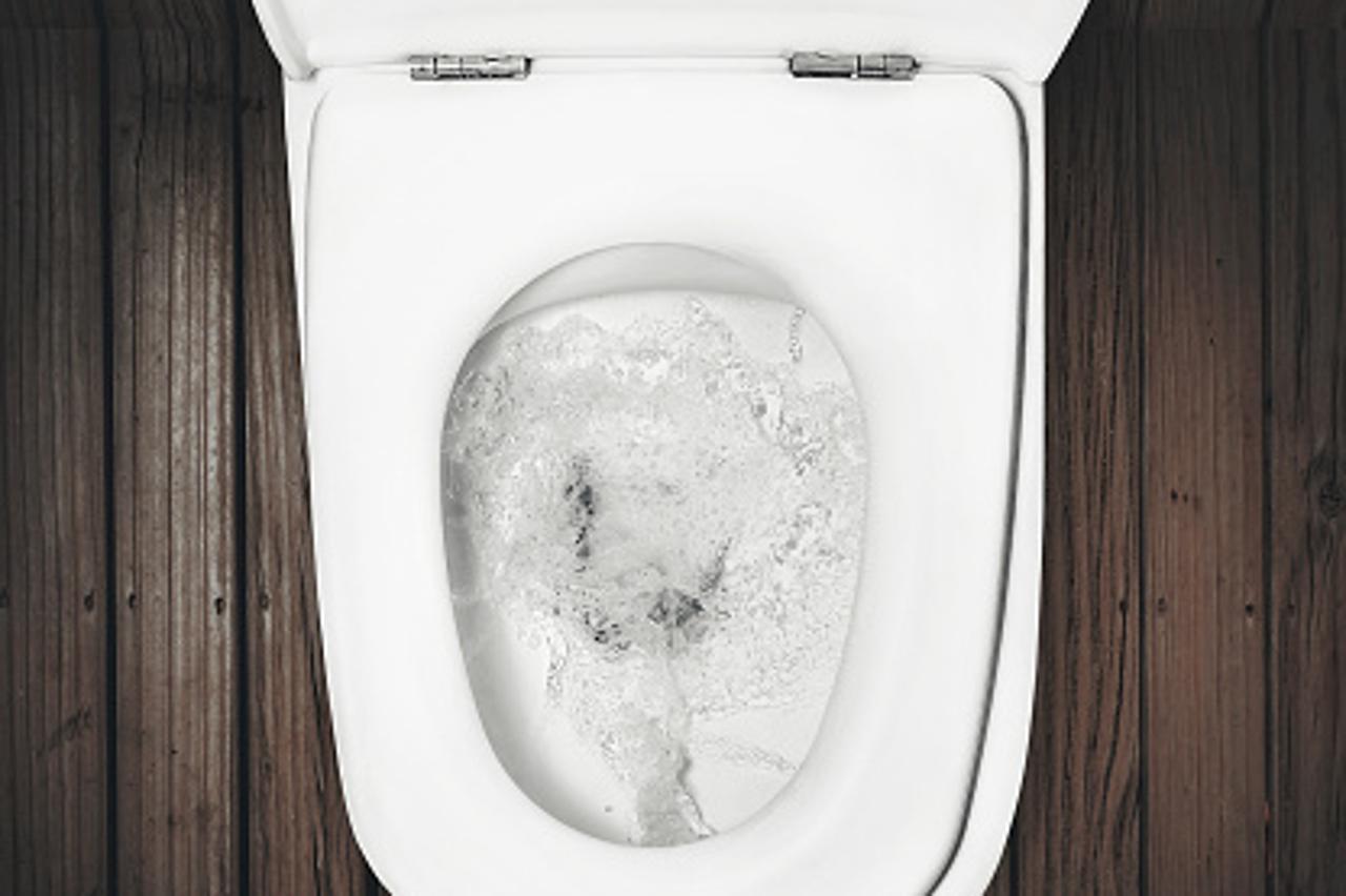 WC školjka