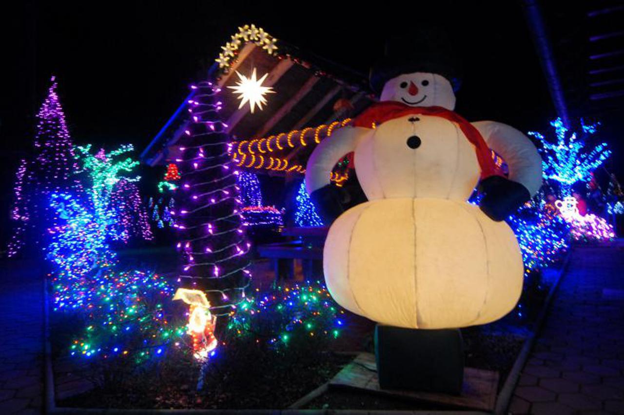 Pljenje božićnih lampica na imanju u Grabovnici (1)