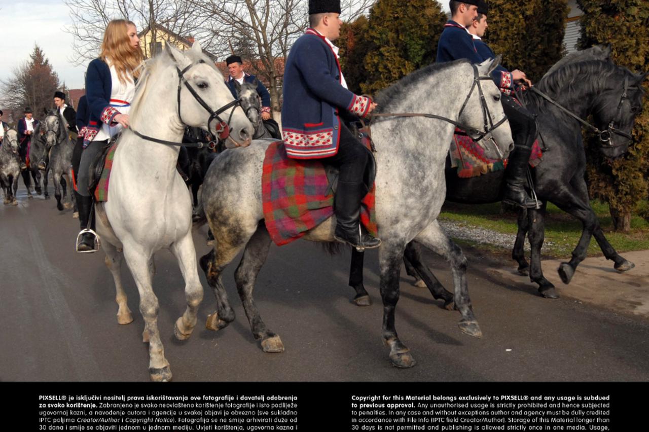 konji,kljusad,portal