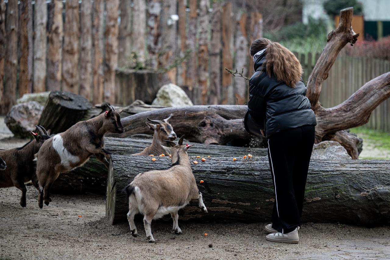 Zagreb: Djelatnici ZOO-a životinjama uručili božićne darove