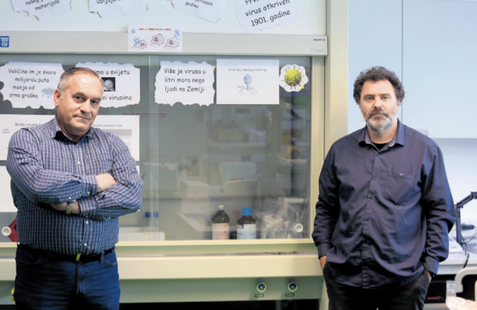 Tomislav Rukavina i Igor Jurak: Pretpostavljamo da će se cjepiva razvijati za glavne klade (tipove) virusa