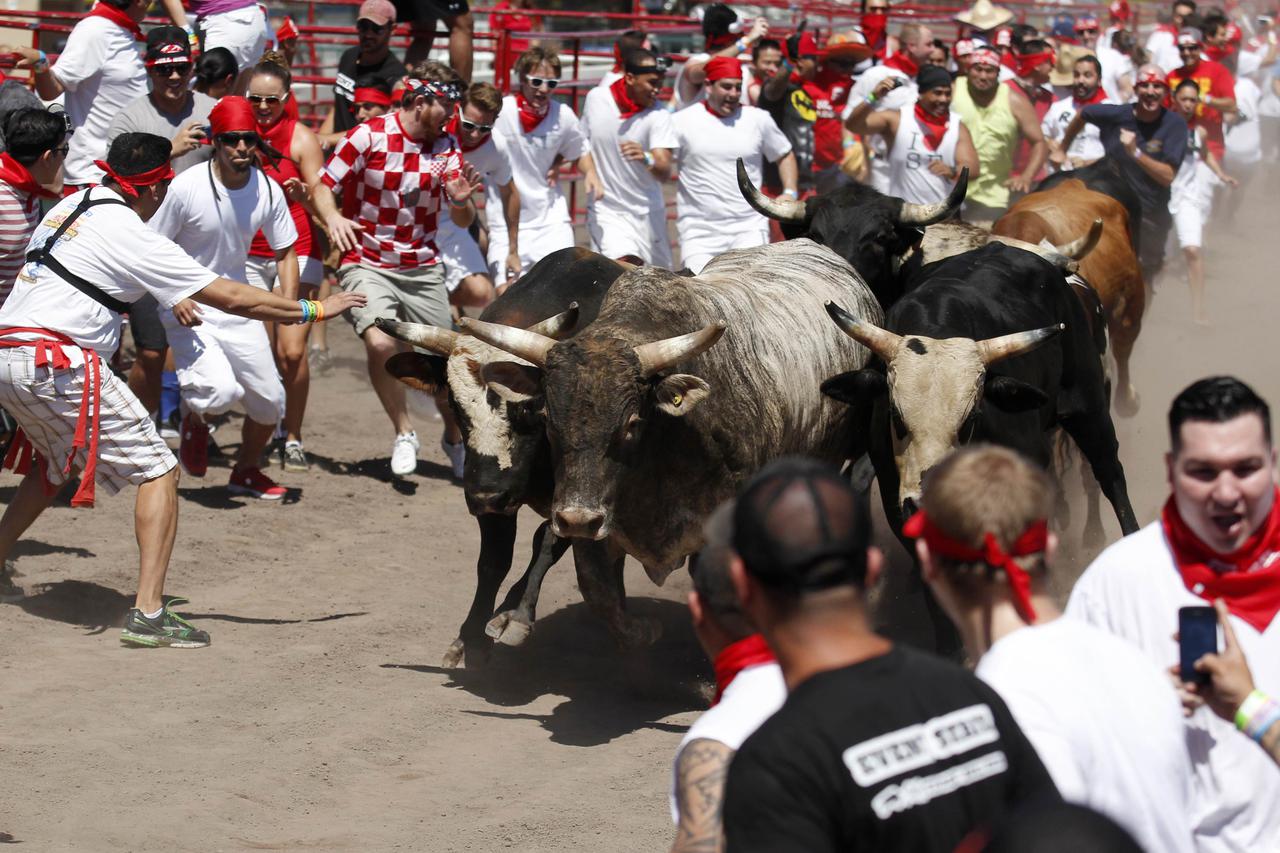 utrka s bikovima,SAD