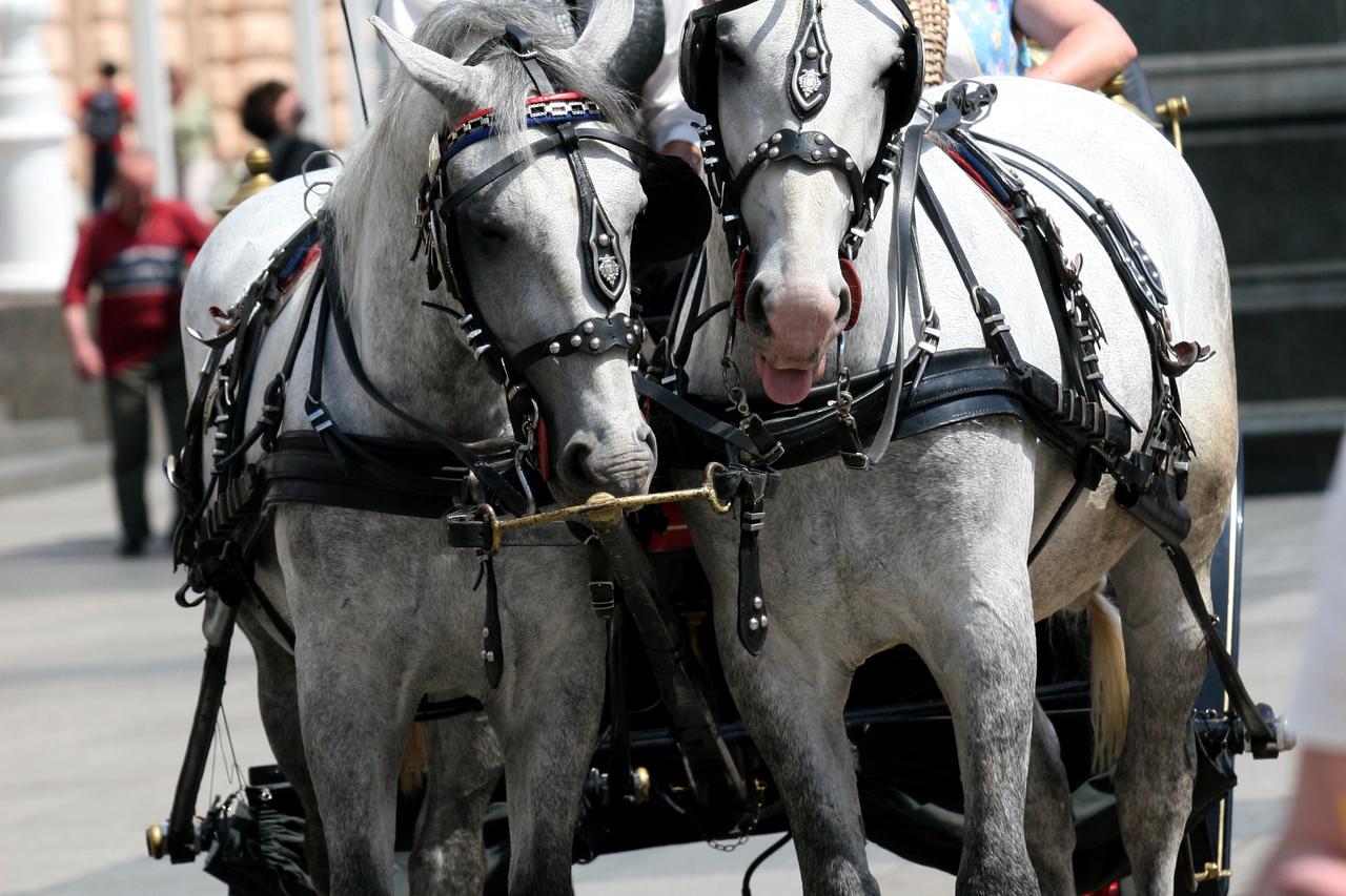 11.05.2009., Zagreb - Fijaker na Trgu bana Jelacica. Photo: Zarko Basic/Poslovni dnevnik/PIXSELL