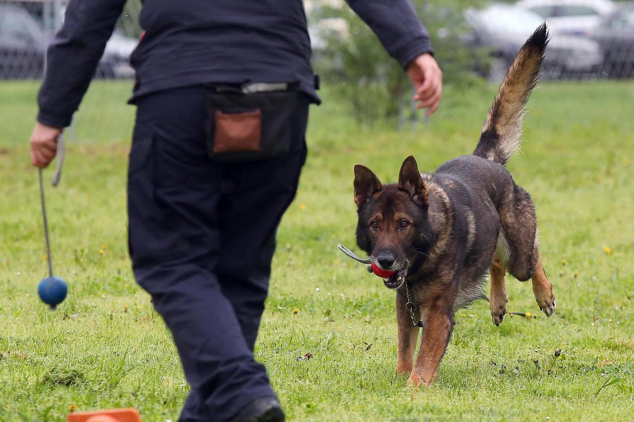 Zagreb: Centar za obuku vodiča i dresuru službenih pasa MUP-a