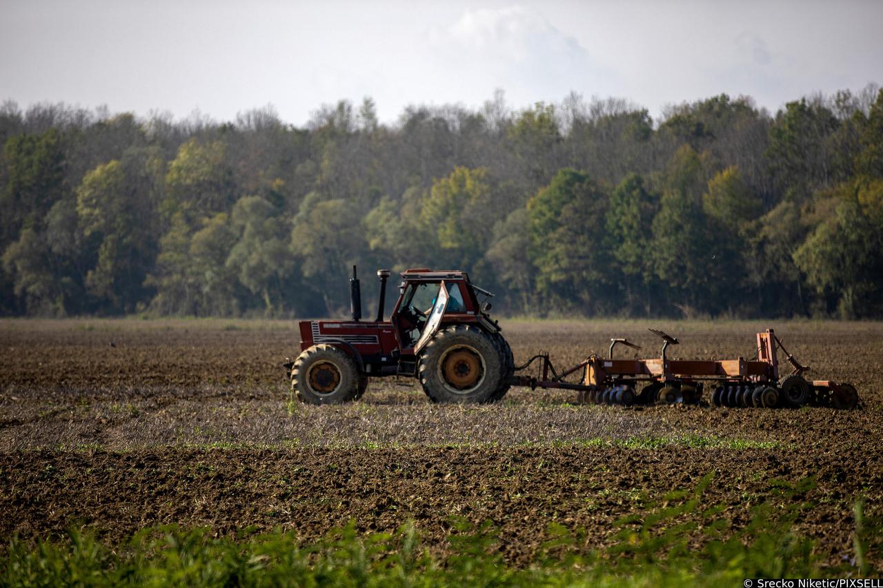 Obrda zemlje na polju podno Motovuna