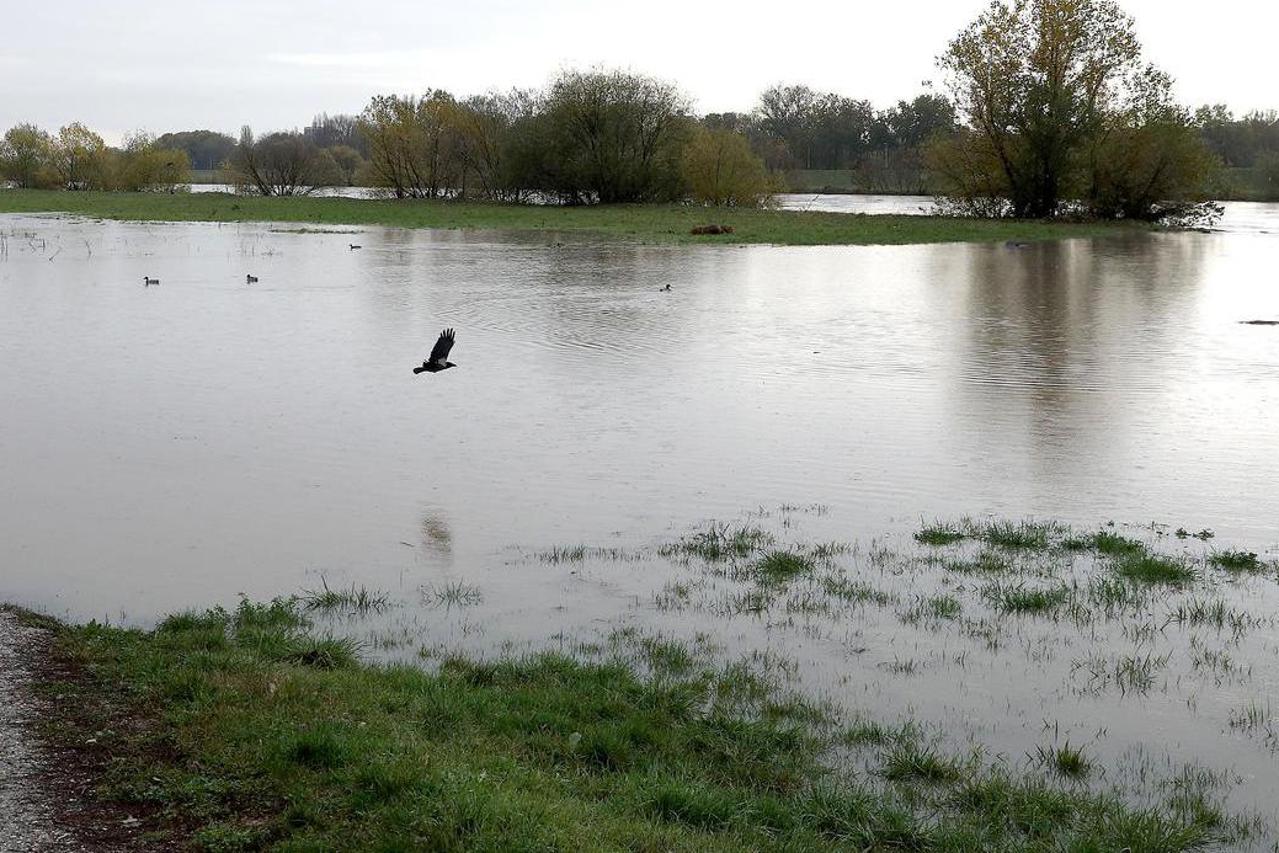 Zagreb: Nabujala Sava se izlila iz korita
