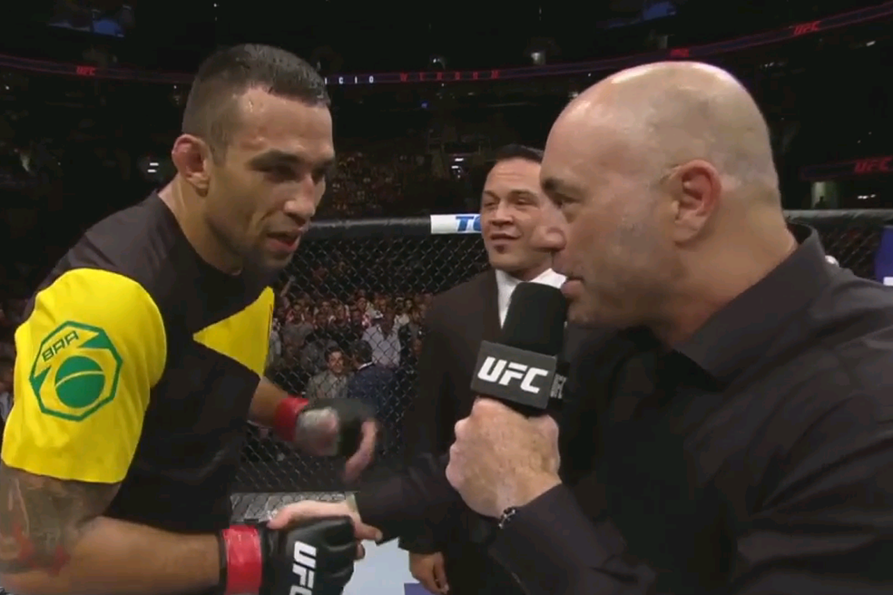 Fabricio Werdum