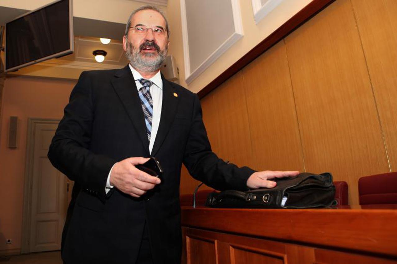 sabor, mladen bajić (1)