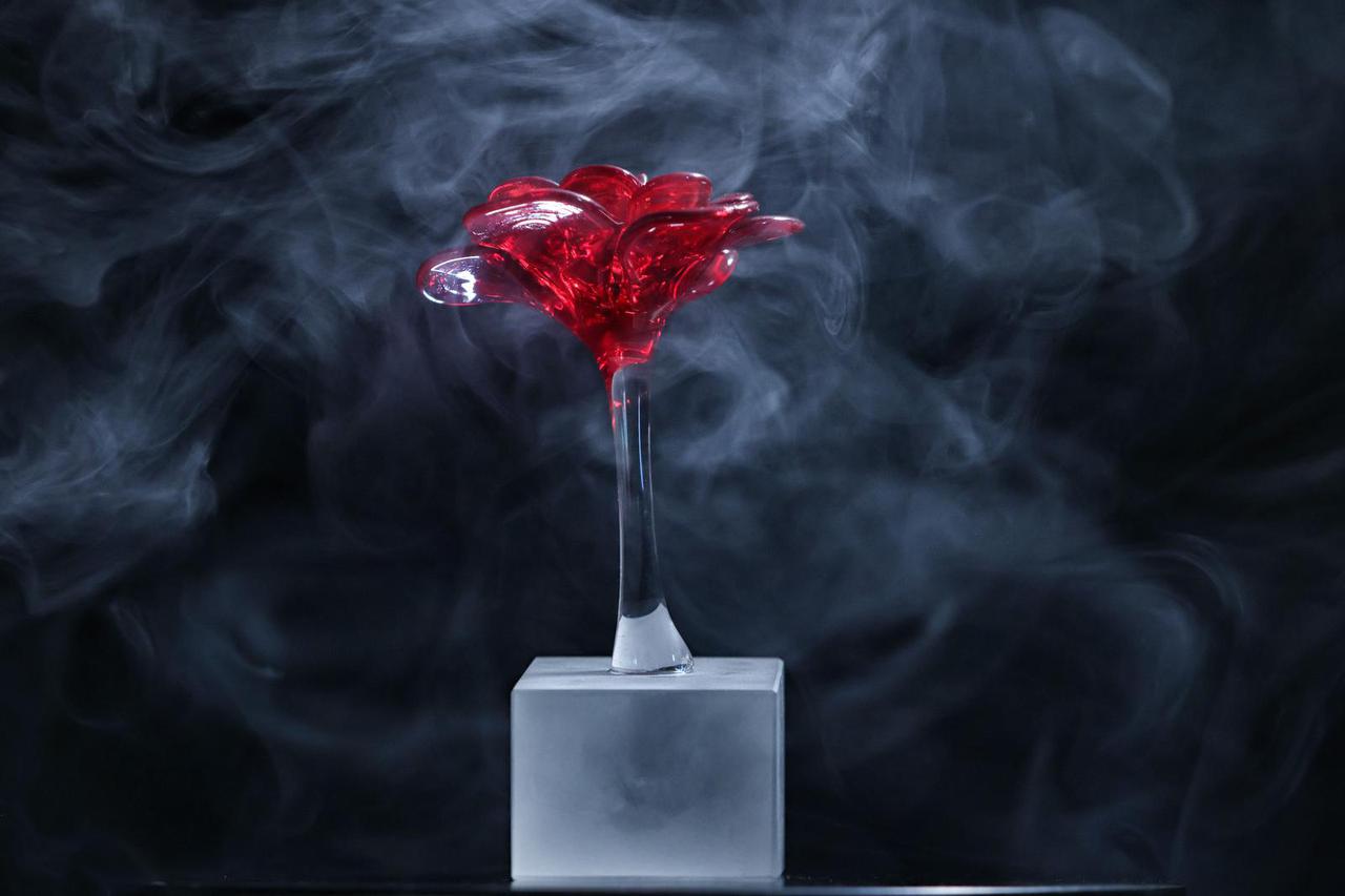 Zagreb: Statua Večernjakova ruža