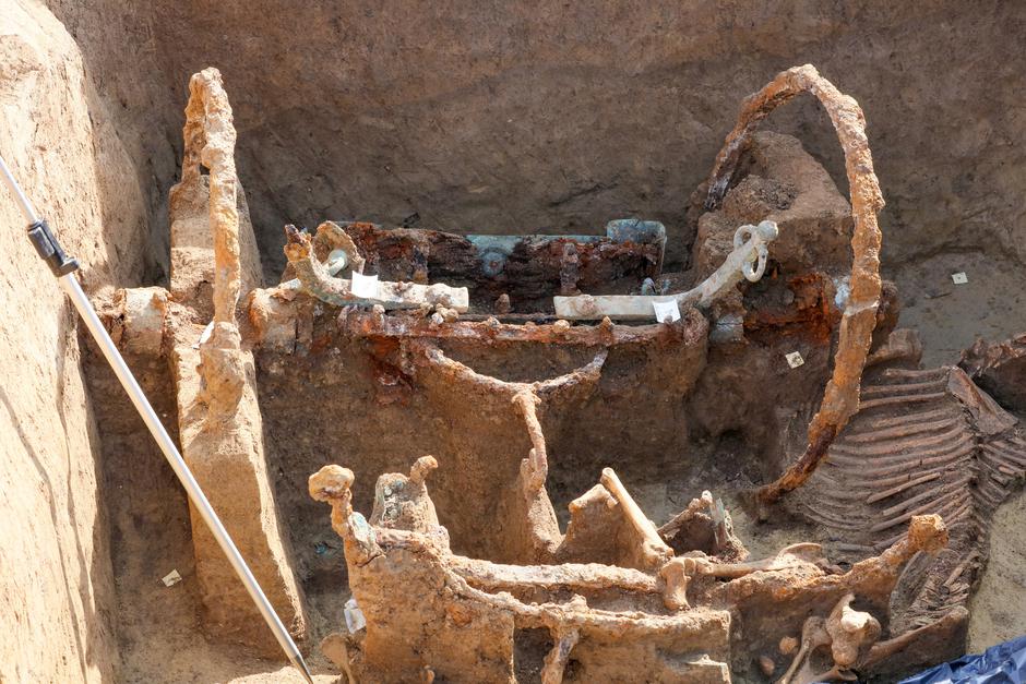 Na lokalitetu Jankovačka dubrava pronađena rimska kola s upregnutim konjima iz 3. stolječa