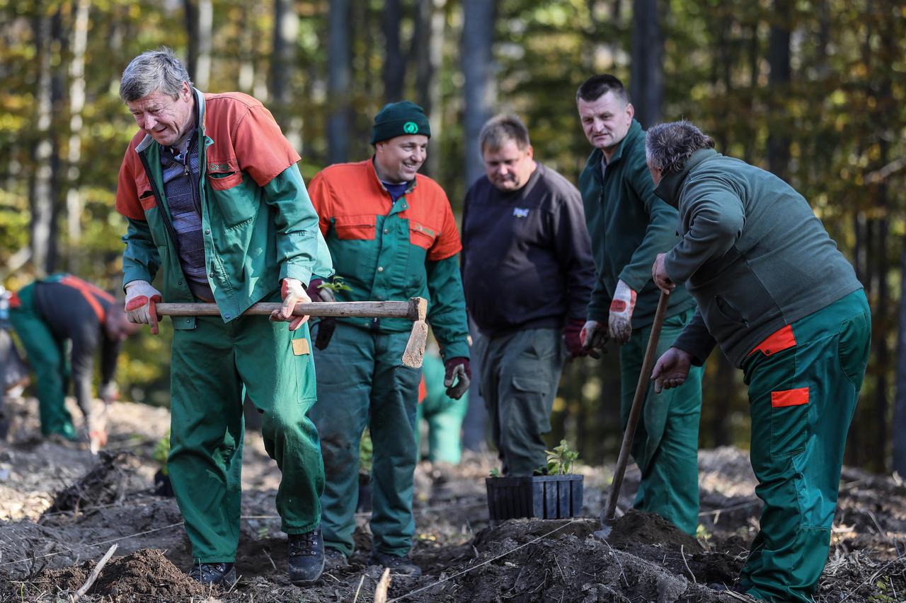 Medvednica - Sadnja prvih memorijalnih stabala u akciji pošumljavanja