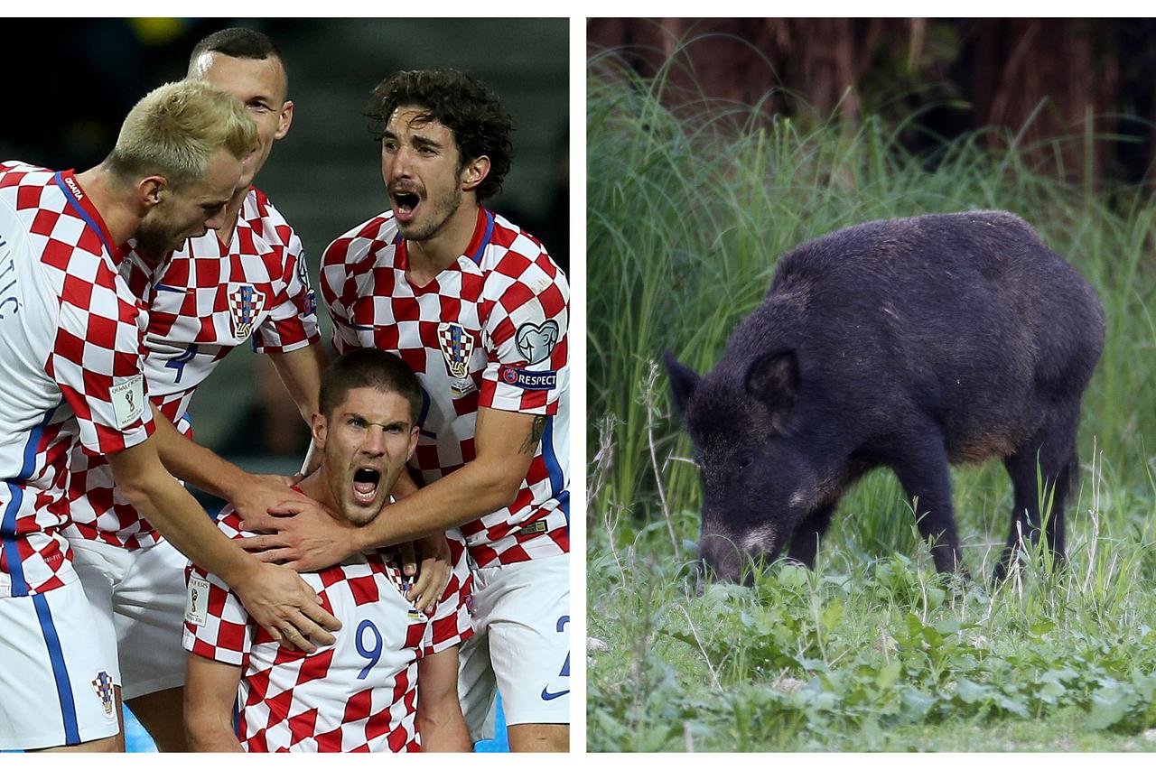 Vatreni 'spasili' veprove