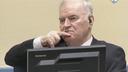 Serbian Minister Visits Mladić in The Hague, Seeks Release for Treatment