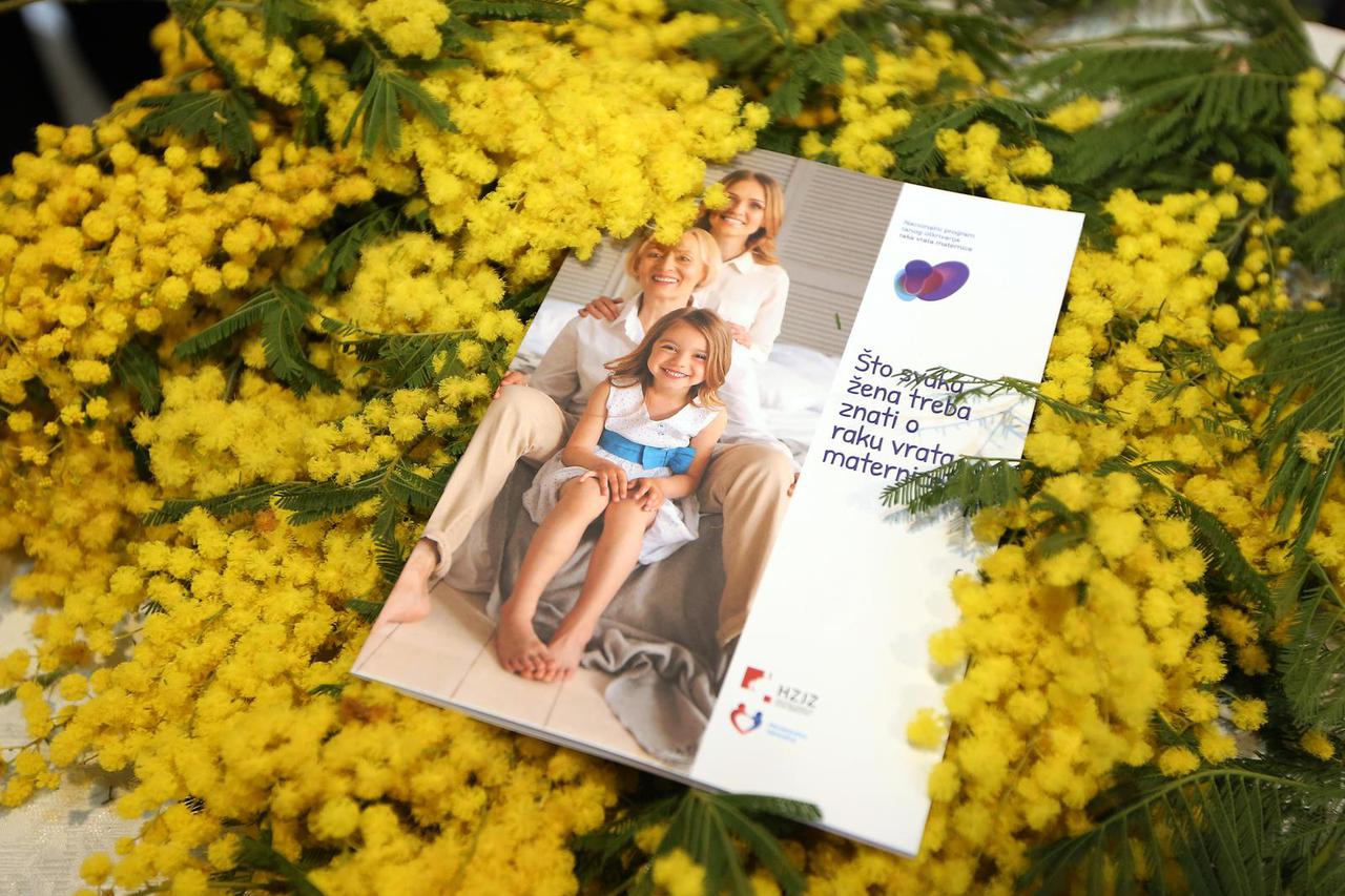 Šibenik: Prodajom mimoza obilježen Dan prevencije raka maternice