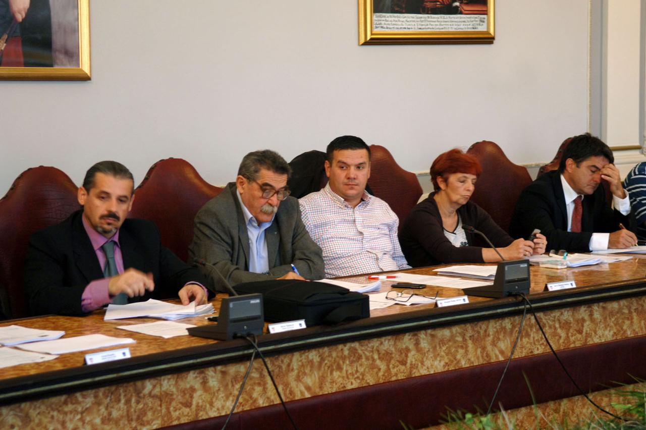 skupština požeško-slavonska