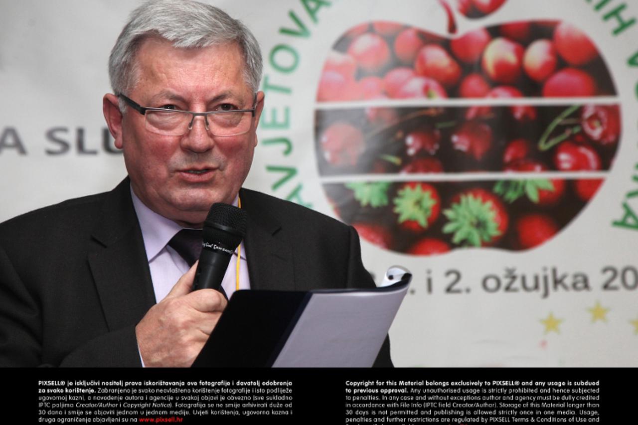 '01.03.2013., Zagreb - Godisnja konferencija vocara u hotelu Panorama. Stanko Cosic Dragan.  Photo: Zarko Basic/PIXSELL'